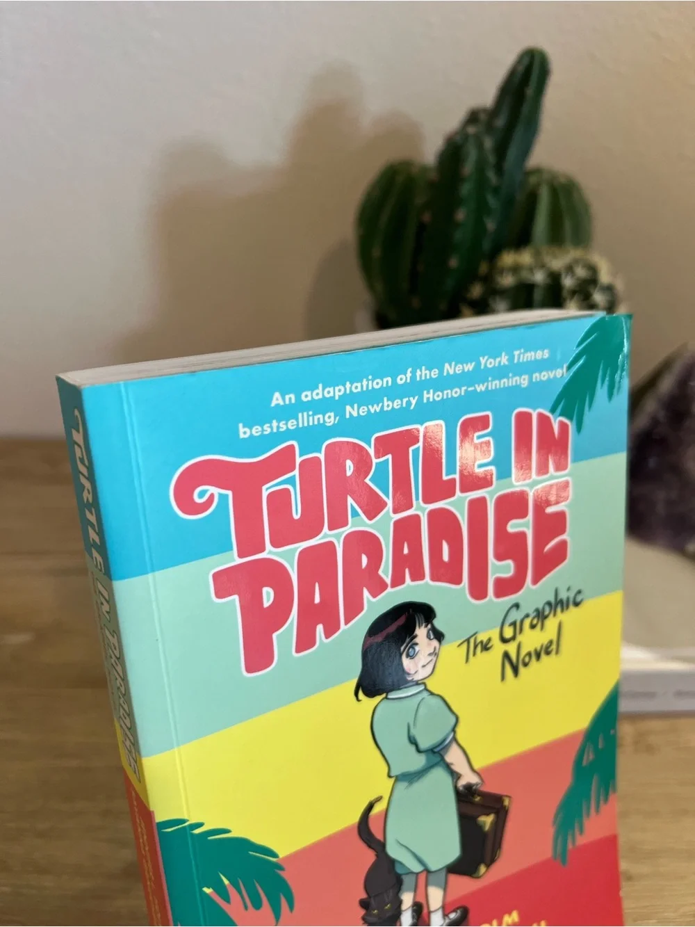 Turtle in Paradise Graphic Novel Jennifer Holm Paperback Book 2021 Comic Kids